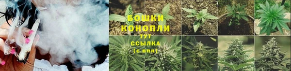 тгк Карпинск