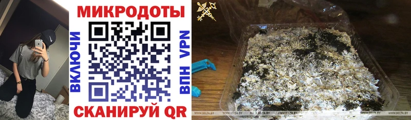 Псилоцибиновые грибы Magic Shrooms  Купить где  Мамадыш 